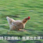 7ced6e0737dccb358ee8fd1f381025f